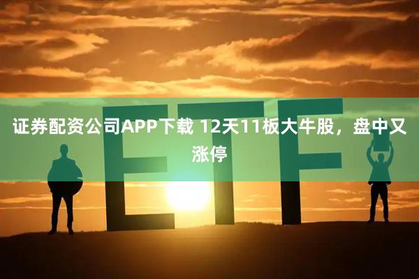 证券配资公司APP下载 12天11板大牛股，盘中又涨停