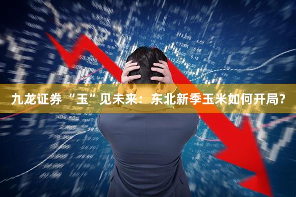 九龙证券 “玉”见未来：东北新季玉米如何开局？